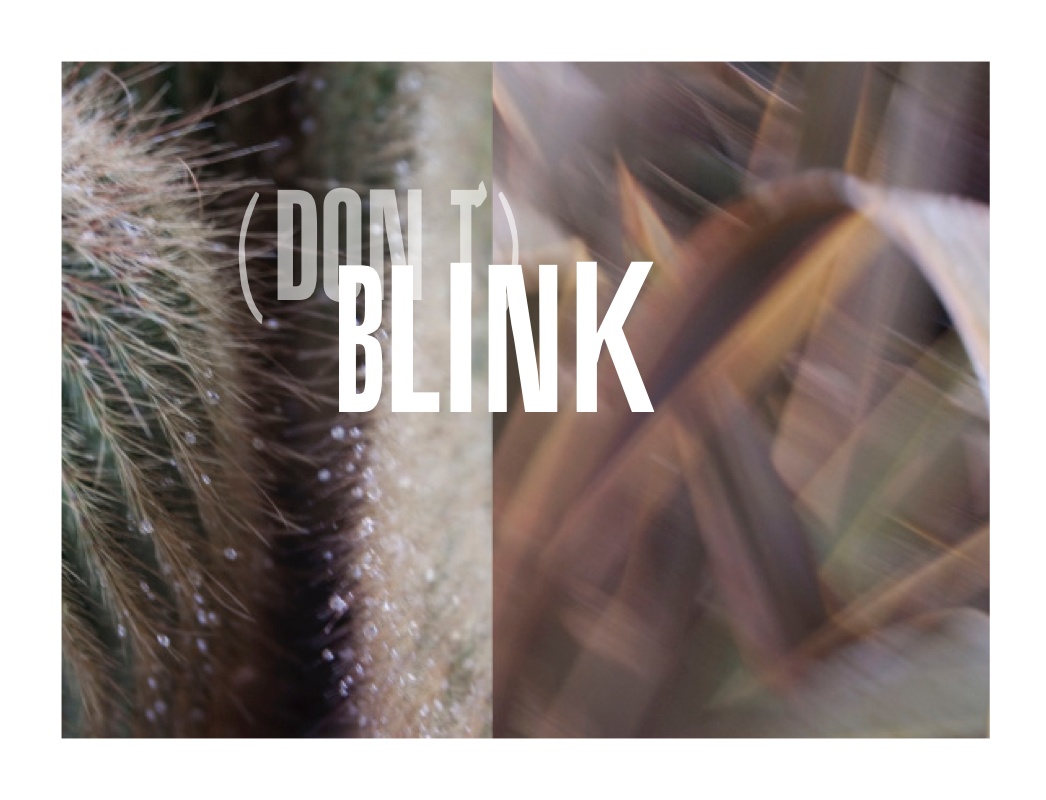 Blink by JuliaP